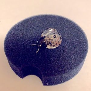 NWT Swarovski ladybug